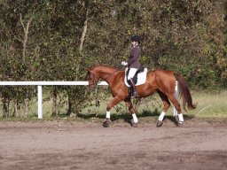 IMG_7895_web